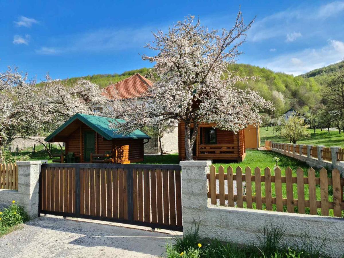 Guest House Green Garden Mojkovac Bagian luar foto